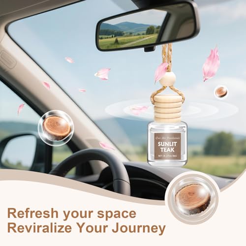 Image of AROIC 6 Pack Car Air Freshener, Mahogany Premium Woody Car Air Freshener Diffuser Fragrance, Hanging Essential Oil Diffuser for Interior Decor, Long Lasting Car Accessories Unisex (Sunlit Teak Scent)