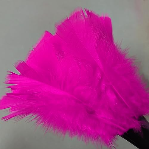 Image of Turkey Feather Dusters for Cleaning Home Blinds Kitchen car Office, Eco-Friendly Reusable (2 pcs Rose red)
