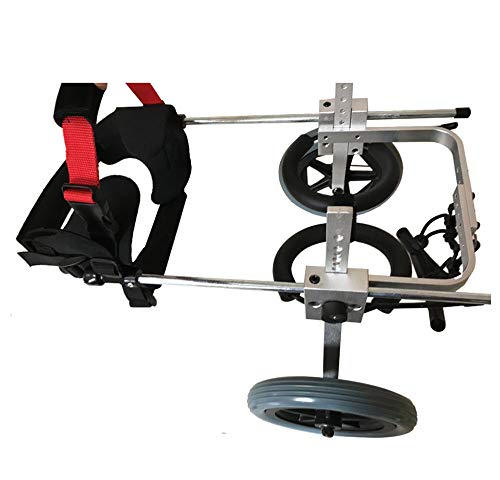 GUIXAN Silla de Ruedas para Perros para Patas traseras Silla de Ruedas para Mascotas, Silla de Ruedas para Perros, Coche para Perros, 1 kg (2,2 Libras) —25 kg (55 Libras), Ajuste MUL