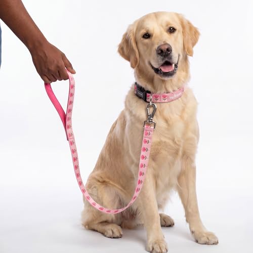 Image of Wag and Wilder Dog Collar and Leash Set for Small, Medium & Large Dogs - Heavy Duty Adjustable Collar & 5 FT Dog Leash Combo, Strong Metal Hook (Jaipur Bloom- Pink, Large, Leash Only)