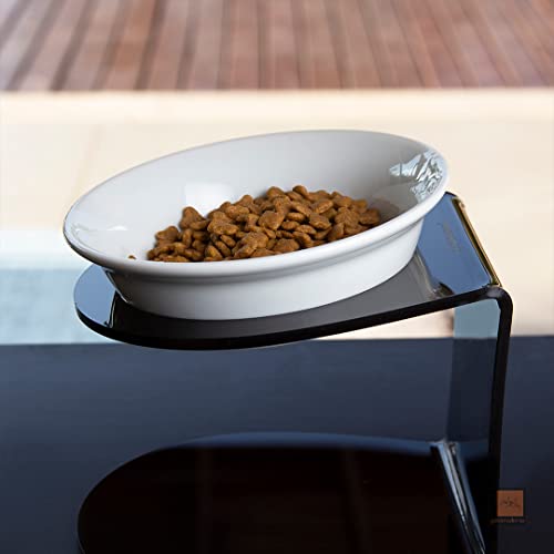 Gatomoderno Kit Comedouro Elevado Suporte Acrílico Preto com Prato para Gatos Fundo de Porcelana, Al