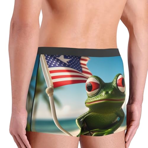 Puerto Rico Flag Frog Palm Trees print Mens Underwear Boxer Briefs Breathable Soft Moisture Wicking Fly Underwear 5