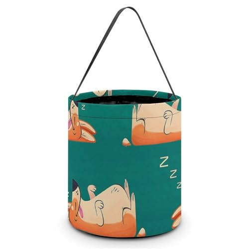 nEB LfBoXPbg n   ETM LfB َq Rei 񂰑 y p[eB[LOi v[g OWp