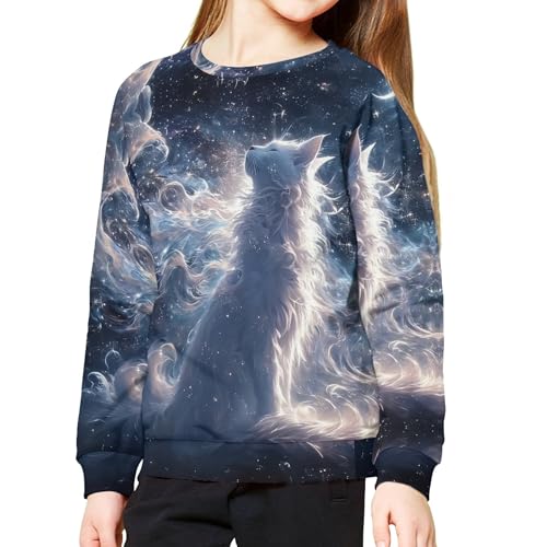 Cool Sweatshirt for Boys Winter Graphic Crewneck Sweatshirts Soft Comfy Casual Long Sleeve Fall Thick Pullover Top4