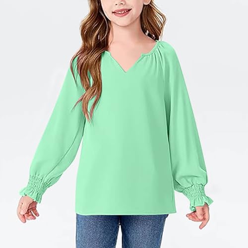 Long Sleeve Pullover for Girls V Neck Notch Lightweight Quick Dry Casual Fashion Shirts Solid Puff Long Sleeve Tees2