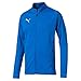 Produktbild Puma Herren FINAL Training Jacket Trainingsjacke, Electric Blue Lemonade Black, S