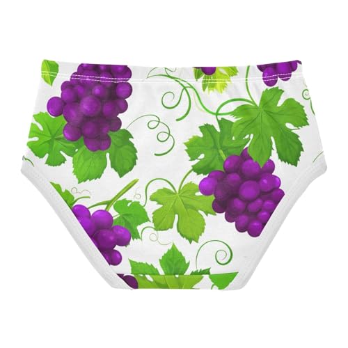 Durable Toddler Underwear Floral 2t Cotton Panties for Girl Clusters Purple Grapes Green Leaves Briefs Kids Undies2