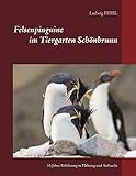  Felsenpinguine im Tiergarten Schönbrunn: 35 Jahre Erfahrung in Haltung und Aufzucht