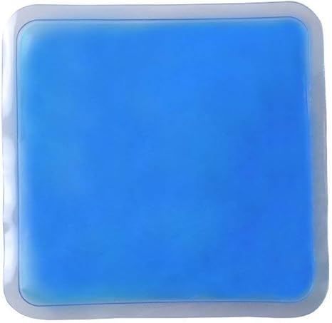 automatic cat feeder with ice pack