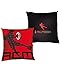 Accessori arredo casa cuscino ACM Milan 1899 FunW13 PS 20466