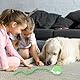 Farerkass Interaktives Katzenspielzeug Ball, Hundespielzeug, Pet Hundeball Elektrisch, Smart Automatisch Rollender Ball für Katzen und Hunde(Grün)