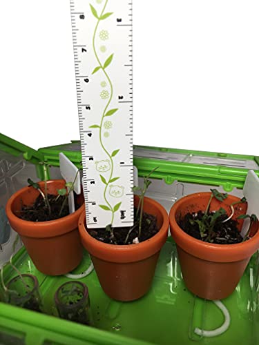 SmartLab Toys TINY Gardening with 20 Enormously Fun Growing Activities. Big Science. Tiny Tools. - Image 13