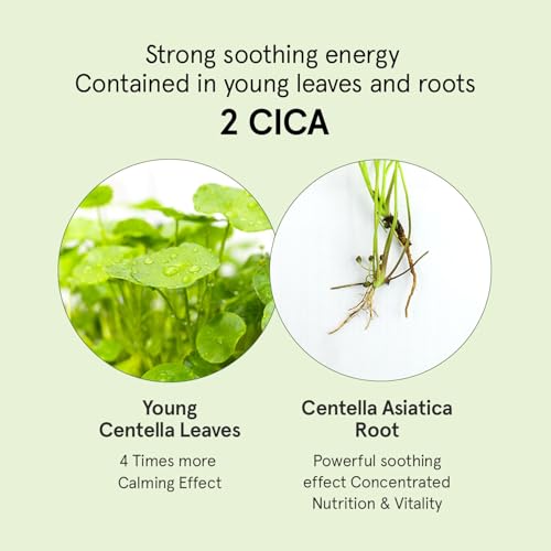 ONE THING CICA B5 Moisturizing Cream 2.36 fl.oz / 70ml | Korean Skincare, Ultimate Hydration and Barrier Strengthening for Sensitive Skin, Non-Greasy, Redness Relief