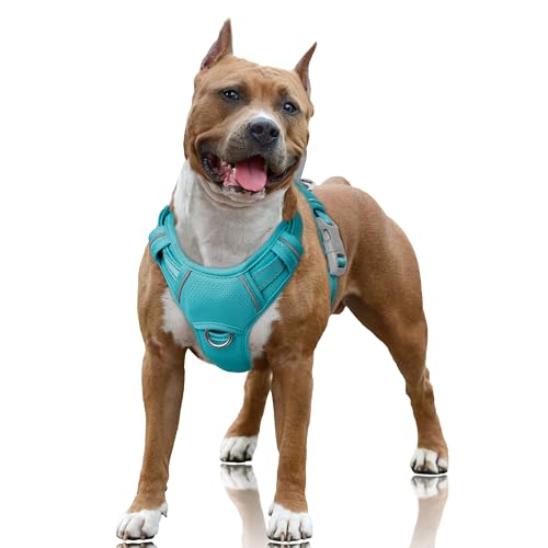 BARKBAY No Pull Dog Harness Large Reflective Dog Harness with Front Clip and Easy Control Handle for Walking Training Running with ID tag Pocket(Ocean Blue,L)