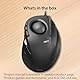 Elecom M-DT2URBK Scroll-Rad, Trackball, PC/Mac, 4-Wege