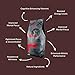 Kimera Koffee - Organic Light Roast Ground Coffee | Focus Blend | Infused with Brain Vitamins | L-theanine | Amplifies Alpha Brain Waves| Enhance Mental Endurance & Awareness | 12oz