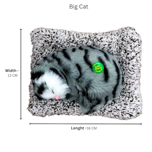 Image of Cute Sleeping Cat Soft Toy, Grey, Medium