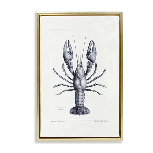 Stupell Industries Scientific Lobster Specimen Gold Framed Floater Canvas Wall Art, design by Tina Higgins Designs Inc., 25 x 17