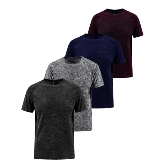 Kit 4 Camisetas Masculina Dry Academia Treino Fitness (BR, Alfa, M, Regular, 1 Vinho 1 Azul 1 Cinza 1 Chumbo)