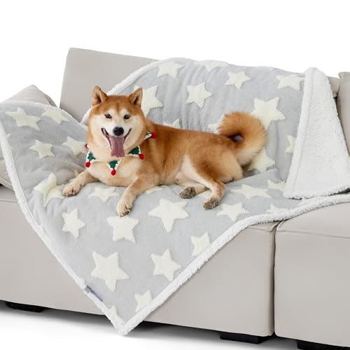 Lesure ybg uPbg  h}bg L ѕz _炩 h g WJ[hn Rh~ \t@[ی ې ֗ JԂg ^/^/Lp (O[, 150*200cm)