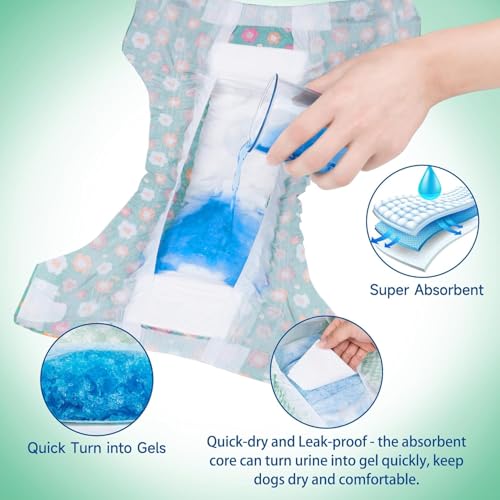 Image of Pet Soft Dog Diapers Female, Disposable Female Dog Diaper, Doggie Diapers for Cat Puppy with Adjustable Foam Tail Hole(Green,36XXS)