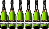 Vinya Escudé - Celler Jordi Lluch 523 Reserva Cava DO 2022 Extra Brut (extra herb) Bio (6 x 0.75 l)