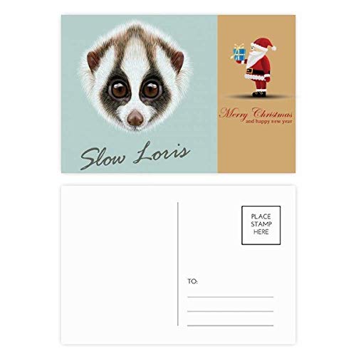 Cartes postales Loris Big Eyed en carton premium rigide de collection