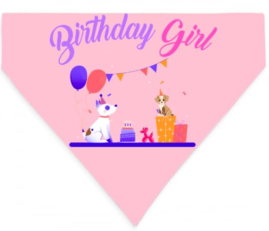 The Barkery by NV Birthday Girl Dog Bandana | Birthday Bandana for Pets | Happy Birthday Bandana (L) (B0CX1JCLWH) Amazon Price History, Amazon Price Tracker