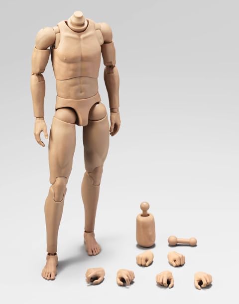 Amazon | [AC]界线玩模 1/6 男性 可動 アクションフィギュア用