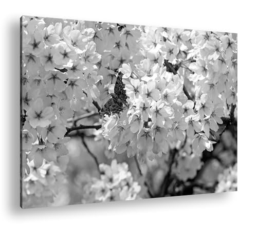 Papillon sur cerisier blanc deyoli 90x60 cm tableau noir et blanc avec cadre en bois