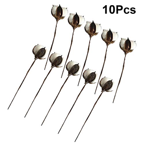 Amosfun 10 peças de flores secas de algodão branco flor ralho artificial fazenda preenchedores de es