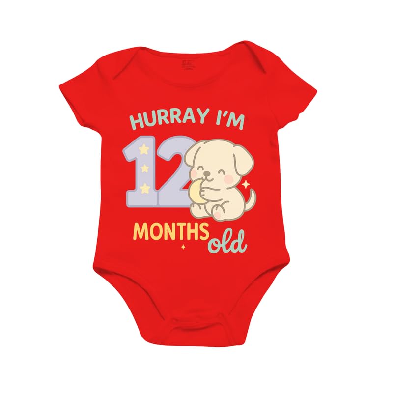 Image of Monthly Birthday Romper for Newborn Baby | Unisex Half Sleeve Bodysuit with Envelope Neck | Soft Cotton Outfit with 1 to 12 Month Print | Comfortable Infant Wear for Boys & Girls