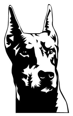 Doberman Head Decal Sticker - Peel and Stick Sticker Graphic - - Auto, Wall, Laptop, Cell, Truck Sticker for Windows, Cars, Trucks