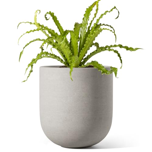 LE TAUCI Pot de Fleurs 15 cm, Pot en Céramique avec Trou de Drainage et Bouchon en Caoutchouc, Jardinière d'Intérieur pour Herbes et Petites Plantes, Pot...