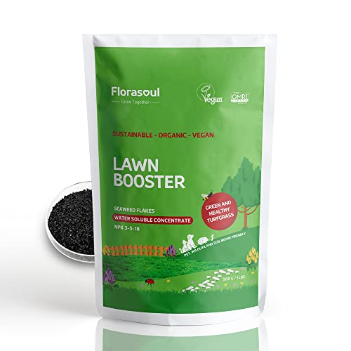 Florasoul Organic Lawn Fertilizer, Eco-Pet Friendly Lawn Fertilizer, Sustainable Healthy Lawn, Certified Vegan Organic Lawn Food, Organic Lawn Fertilizer Spring/ Summer/ Fall, Liquid Lawn Fertilizer Concentrate 18Oz/350 Gal #TOP15
