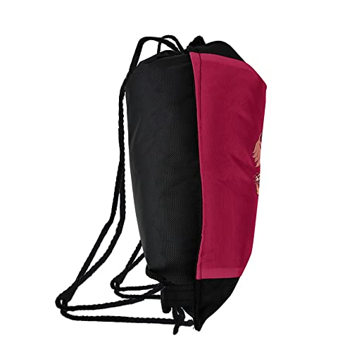 LOGOVISION Harry Potter Gryffindor Lion Crest Drawstring Backpack Sports Bag Sackpack 17" x 13", Perfect for Gym, Yoga or Practice2