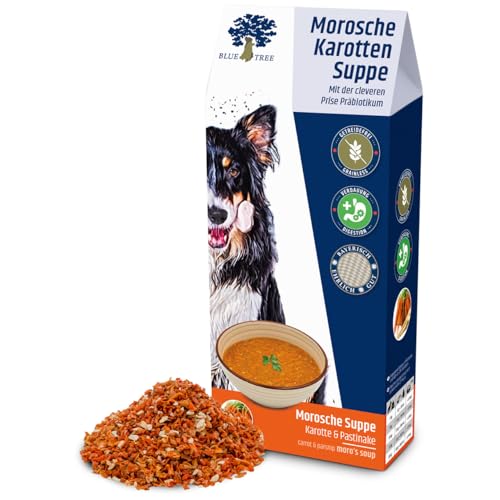 Blue Tree Morosche Karottensuppe 400g