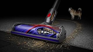 Dyson Aspirapolvere senza fili V8 Advanced (Argento/Nickel)