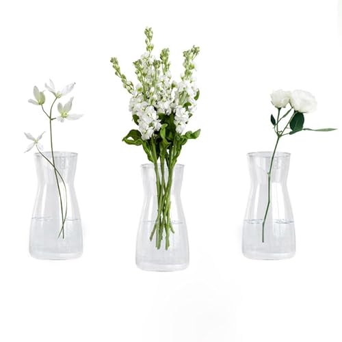 AHAQU 3PCS Clear Flower Vase, 20cm Glass Vase, Glass Vases for Flowers, Modern Vases for Home, Living Room, Office, Wedding Decor - Cosy Home Interiors AHAQU 3PCS Clear Flower Vase, 20cm Glass Vase, Glass Vases for Flowers, Modern Vases for Home, Living Room, Office, Wedding Decor
