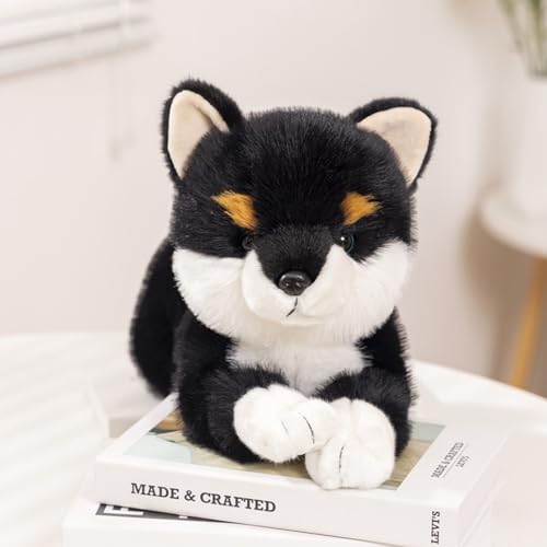 �Č� �� �������� �{���������� ���A�� ���̂ʂ������ ���킢�� �����O�b�Y �Y���Q�� �l�` ���� ���A�� ������ ������ ���j�� �v���[���g ������ �D����� ���� �������� �ʐ^1 �ӂ�ӂ� �������� �̑��蕨 45cm