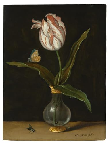 Affiches Tulipe de l'zomerschoon par Balthasar Van Der Ast Impression Sur Toile Salon 60x90cm
