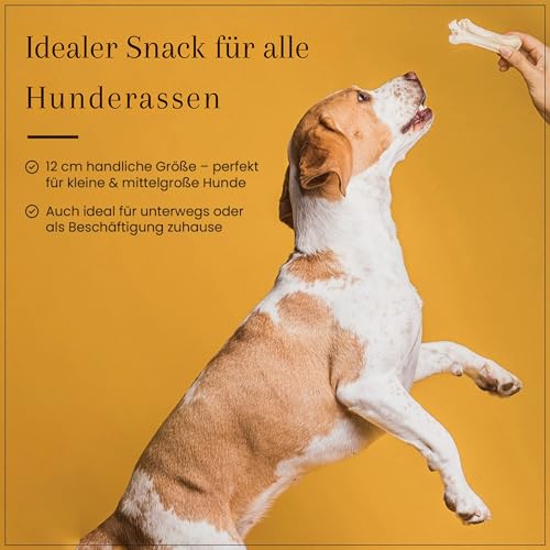 Dog Time Tiernahrung Kauknochen mit Pansen 5 Stück a 12 cm getrocknet I Gesunder Kausnack aus 100% Rind für Hunde I Hundeleckerli mit vielen wertvollen Vitaminen & ohne Zucker
