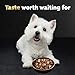 Cesar Home Delights Adult Wet Dog Food, Beef Stew, 3.5 oz. (24 Count, Pack of 1)