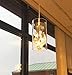 Kitchen Pendant Lighting Over Island, G9 Modern Crystal Pendant Light Fixtures, Dimmable Clear Glass Shade with Crystal Teardrops , Hanging Light Fixture for kitchen Island, Dining Room, Living Room