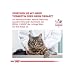 Veterinary Urinary S/O | Trockenfutter für Katzen | 2 x 400 g | Struvit