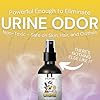 The Stink Solution Urine Odor Eliminator Spray Completely Removes Cat Urine, Dog Pee, & Human Urine Odor Quickly from Carpet, Mattress, Hardwood Floor, Grass, Outdoor Turf, etc - 1 16oz (WeeWee Fresh)