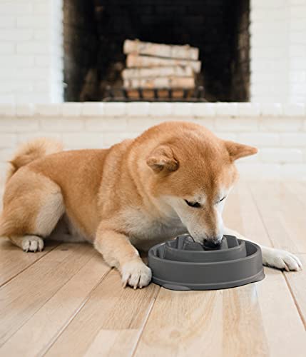 Outward Hound Fun Feeder Slo Bowl, Slow Feeder Dog Bowl, Medium/Mini, Grey #TOP4
