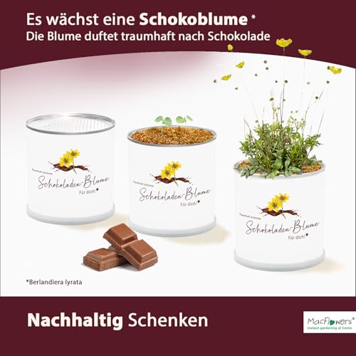 Deine MacFlowers Schokoladenblume, Ein lieber Gruß, Für Dich, Schokoblume in der Blumendose, Das originelle Geschenk, Anzuchtset, Duftet traumhaft nach Schokolade, Geburtstag