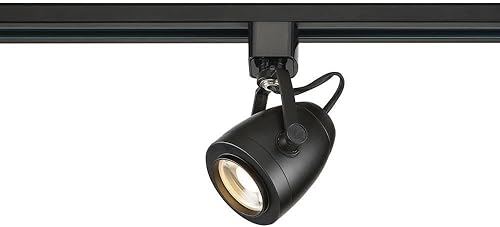 Nuvo Lighting TH414 - Cabezal de pista LED, color negro