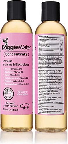Dog Vitamins And Supplements - Dog Multivitamin - Dog Supplement - Liquid Vitamins And Minerals For Dogs - Liquid Dog Vitamins Senior…